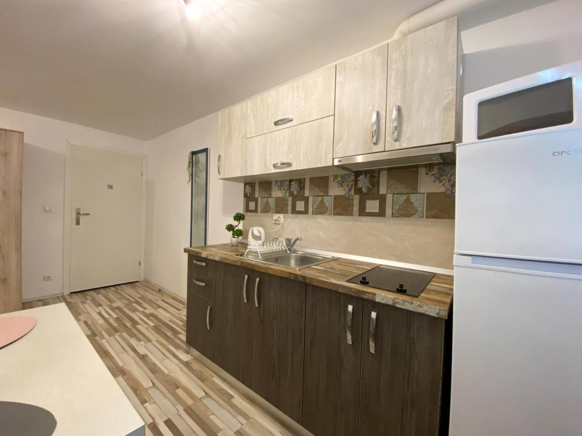 Blue Dream Apartment Τιμισοάρα Εξωτερικό φωτογραφία